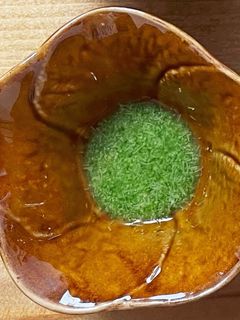 【離乳食初期】レンジブロッコリーペースト-レシピのメイン写真