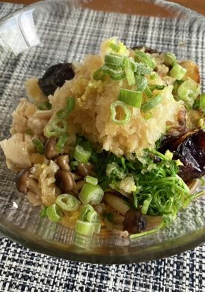 揚げなすとささみのおろしそば-レシピのメイン写真