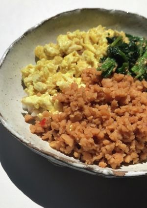 大豆ミートのそぼろごはん-レシピのメイン写真