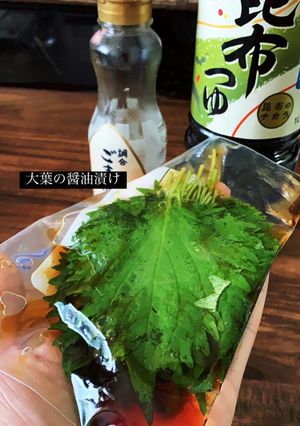 最高のご飯のお供★大葉の醤油漬け★-レシピのメイン写真