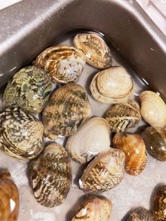 あさりの砂出し ふっくら ガッテン流-レシピのメイン写真