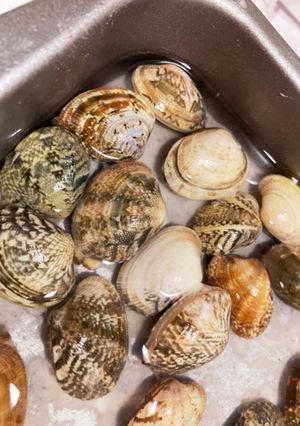 あさりの砂出し　ふっくら　ガッテン流-レシピのメイン写真