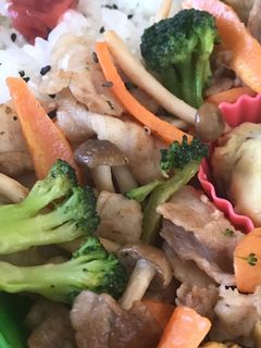 お弁当用☆肉野菜炒め/白だしガーリック-レシピのメイン写真