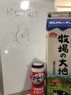 手作りヨーグルト「ガセリ菌SP」編-レシピのメイン写真