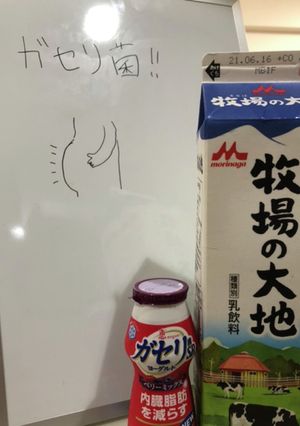 手作りヨーグルト「ガセリ菌SP」編-レシピのメイン写真