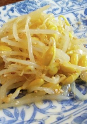 お店の味♪豆もやしのナムル-レシピのメイン写真