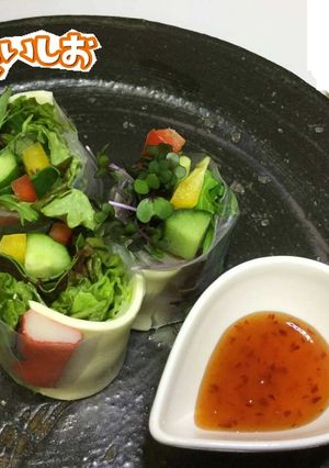 ＜健康レシピ＞野菜たっぷりカラフル生春巻-レシピのメイン写真