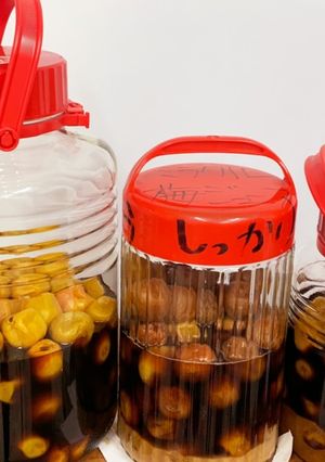 夏を乗り切る！梅シロップで梅ジュース♪-レシピのメイン写真