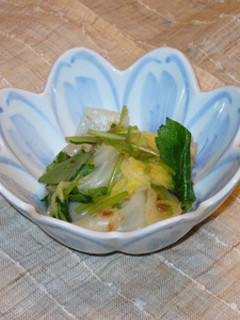 余った白菜で簡単おひたし-レシピのメイン写真