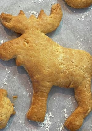 ホットケーキミックスで甘さ控えめクッキー-レシピのメイン写真