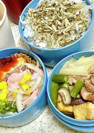 豚！すき焼き風弁当^_^タロの弁当132-レシピのメイン写真