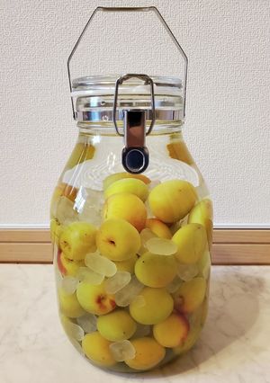 泡盛で自家製梅酒-レシピのメイン写真