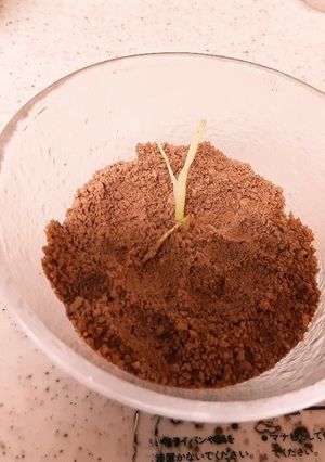 飴おじの【砂】ネタ用-レシピのメイン写真