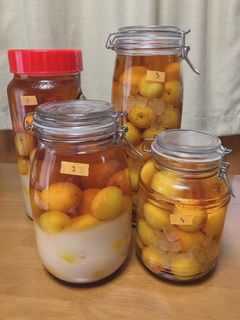 梅酒-レシピのメイン写真