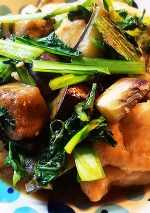 鶏胸肉となすの炒め物-レシピのメイン写真