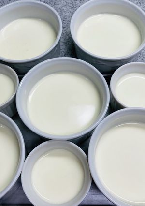 簡単レンジで温めて混ぜるだけパンナコッタ-レシピのメイン写真