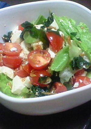 野菜を食べよう～トマトと豆腐のサラダ～-レシピのメイン写真