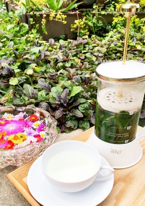 ハーブティー♪-レシピのメイン写真