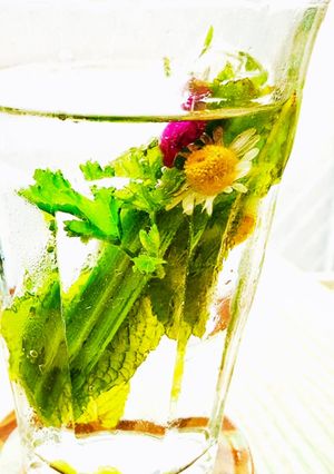 ハーブアイスキューブ-レシピのメイン写真