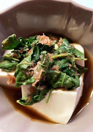 「5分」桑(マルベリーの葉)の湯豆腐-レシピのメイン写真