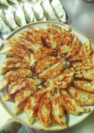 白菜の浅漬け入りギョーザ-レシピのメイン写真