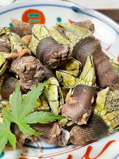 亀の手の塩茹で-レシピのメイン写真