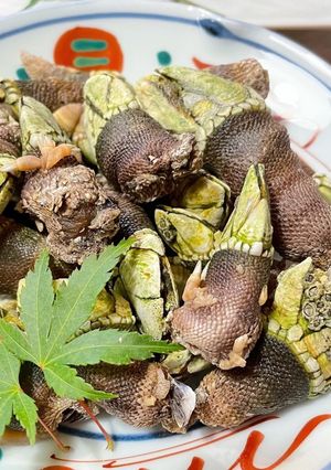 亀の手の塩茹で-レシピのメイン写真