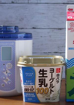 白バラヨーグルトと白バラ牛乳でヨーグルト-レシピのメイン写真