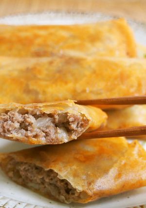 パリ!ジューシー!春巻きの肉団子包み♪-レシピのメイン写真
