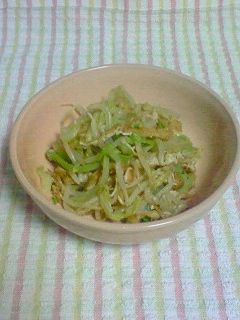 もやしとキャベツのごまおひたし-レシピのメイン写真