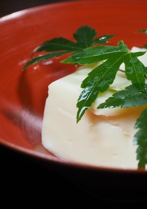 佐賀県有田郷土料理の呉豆腐-レシピのメイン写真