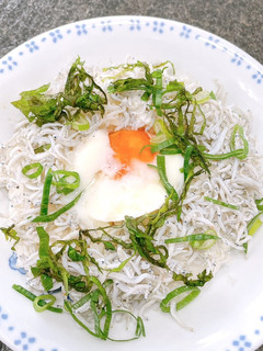 ぱぱっと作れる☆しらす温玉丼-レシピのメイン写真