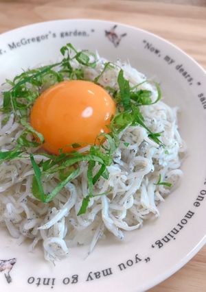 超王道しらす丼-レシピのメイン写真