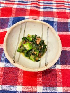 離乳食♡オクラとオカワカメのおひたし-レシピのメイン写真