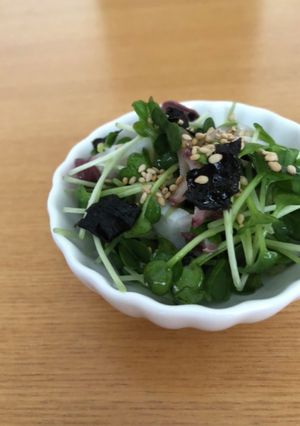 たことカイワレのサラダ-レシピのメイン写真