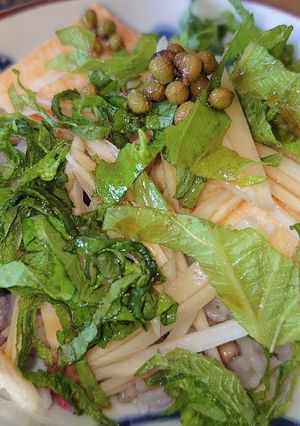 楽チーン♪冷凍ごはんで厚揚げごはん-レシピのメイン写真