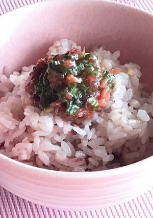 朝ごはん♡うんまい大葉梅かつおのっけご飯-レシピのメイン写真