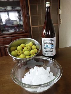 笹祝酒蔵公式!日本酒で作るおいしい梅酒-レシピのメイン写真