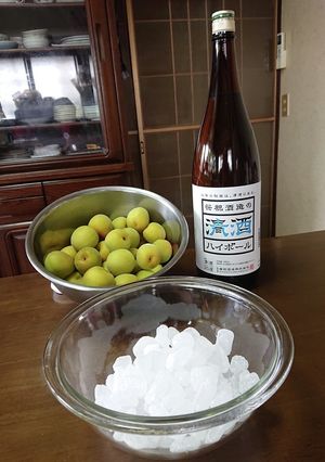 笹祝酒蔵公式！日本酒で作るおいしい梅酒-レシピのメイン写真