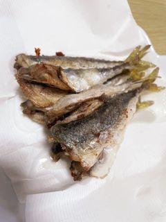 骨ごと食べられる!豆サバの唐揚げ-レシピのメイン写真