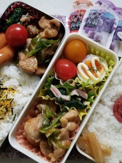 鶏生姜焼き弁当(6.25)-レシピのメイン写真