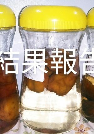 17梅シロップ（梅ジュース）　検証結果　-レシピのメイン写真