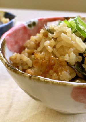 鶏牛蒡ごはん-レシピのメイン写真