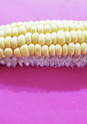 簡単★綺麗♪とうもろこしの外し方&食べ方-レシピのメイン写真