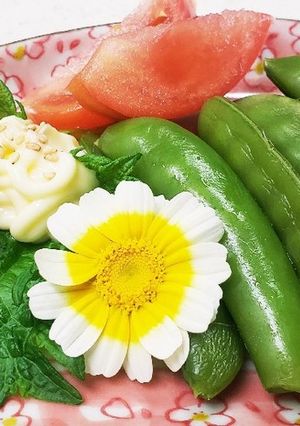 お年寄り絶賛シリーズ☆スナップえんどう☆-レシピのメイン写真