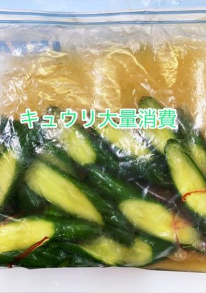叔母伝授のキュウリ漬け-レシピのメイン写真