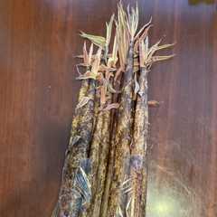 รูปของ 真竹の茹で方！