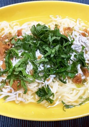 梅しらすのっけ冷やしラーメン塩味-レシピのメイン写真