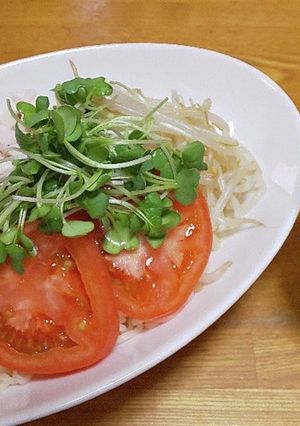 さっぱり蒸し鶏の冷やし塩ラーメン♡-レシピのメイン写真