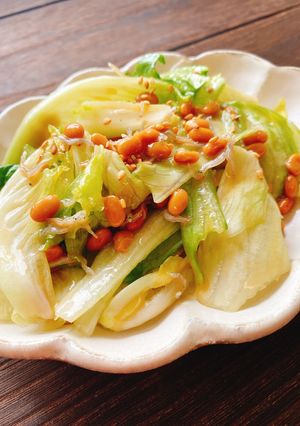 簡単ヘルシー！レタスとしらすの納豆サラダ-レシピのメイン写真